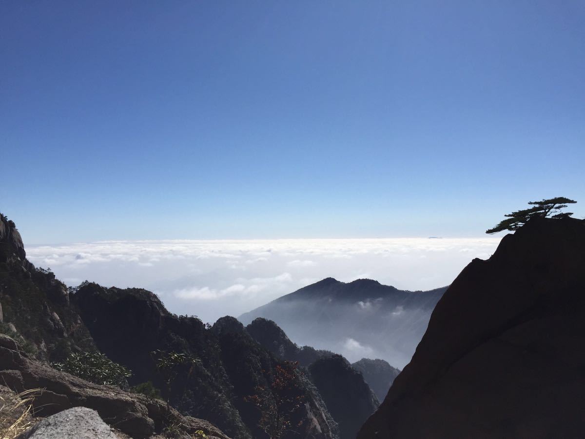 重大消息!今日起招标新规正式实施,低于100万的勘察、设计、监理;低于400万工程将不再需要招标!